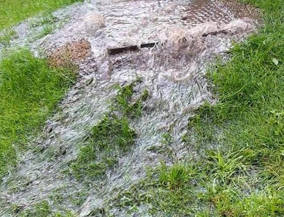 Sewage cascading into the garden of a house in Ivy Mead Mews in Derry after a pipe burst recently. NI Water say they are working on a permanent solution to the problem.