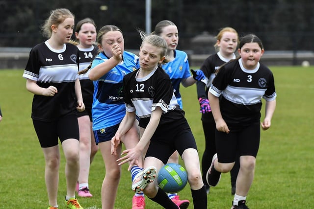 St Brigid’s PS and Hollybush PS in action during the Derry Primary Schools Football Championship at Steelstown GAC. Photo: George Sweeney