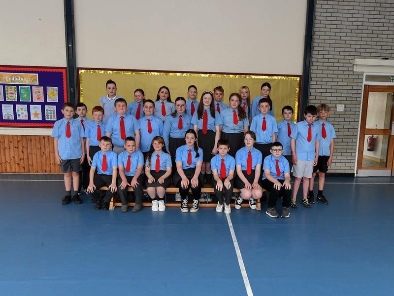 Mr O’Doherty’s P7 class at St Brigid’s Primary School.