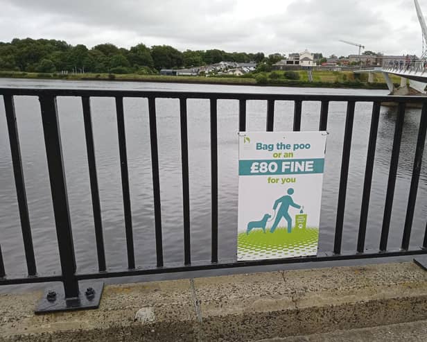 One of the fines urging people not to dog foul in Derry and Strabane.