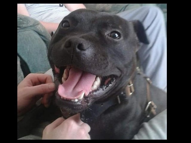 Tyson