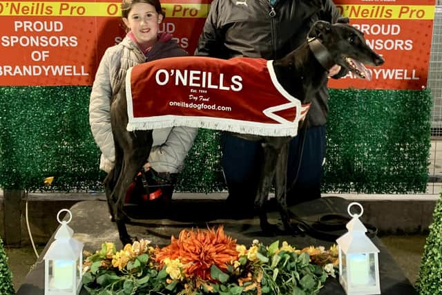 'Greenfield Lark' who won the fifth race in 28.23 with Sophie McLaughlin and Ciaran McLaughlin.