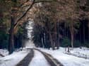 Temperatures are set to plummet from Wednesday. (File picture)