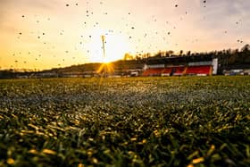 PITCH PERFECT .. . Stephen Kenny has praised Derry for the Brandywell pitch upgrades. Photo by Ramsey Cardy/Sportsfile