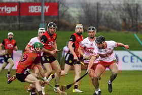 An early goal from Ryan McGill set Derry on their way to a comfortable win in Dungannon on Saturday. Photo: George Sweeney