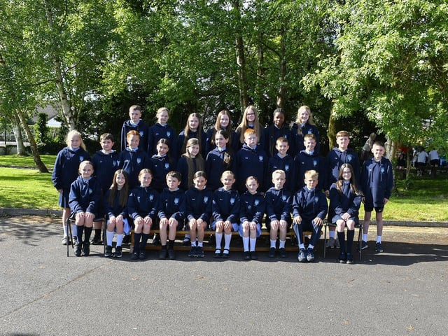 Mrs Sutherland's P7 class at Hollybush Primary School.