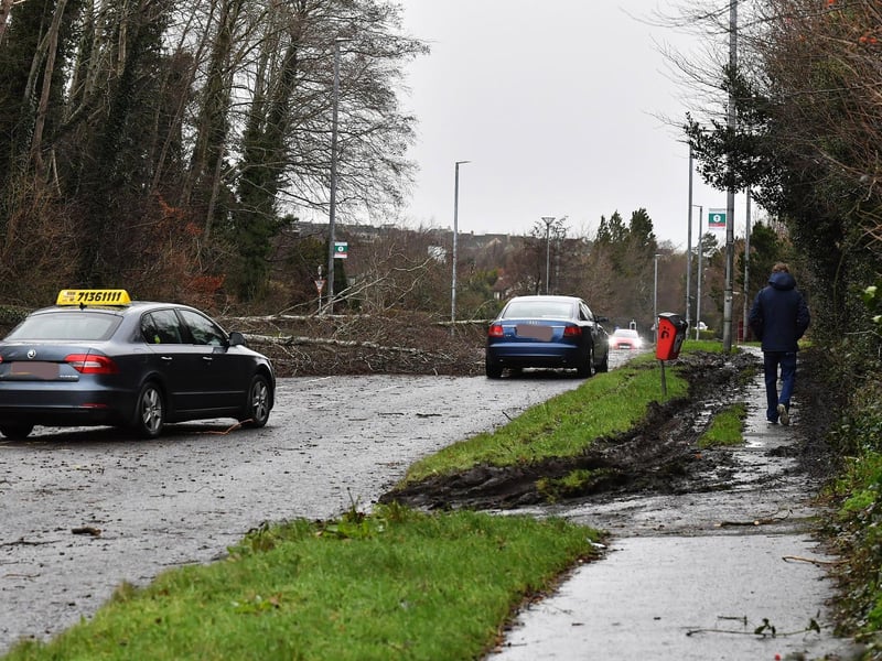 Fallen tree on Creggan Road. Photo: George Sweeney