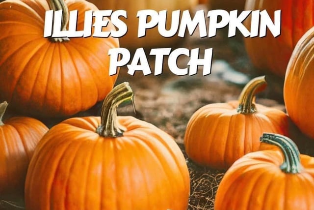Illies Pumpkin Patch, just outside Buncrana, takes place on Sunday, October 29 at Illies Community Centre. Tickets cost £5 for an adult and £7 for a child and each child will receive a pumpkin. For more information, visit Illies Community Centre on Facebook.