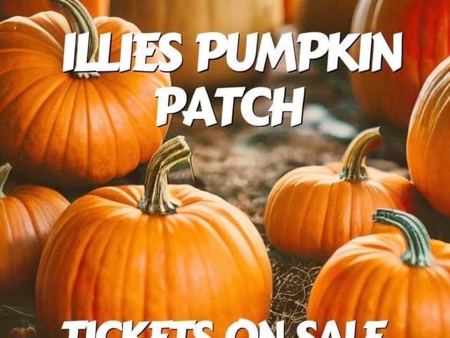 Illies Pumpkin Patch, just outside Buncrana, takes place on Sunday, October 29 at Illies Community Centre. Tickets cost £5 for an adult and £7 for a child and each child will receive a pumpkin. For more information, visit Illies Community Centre on Facebook.