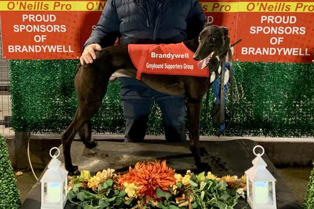 'Mineola Freddie' who won the sixth race in 28.53 with Seamus McCloskey.