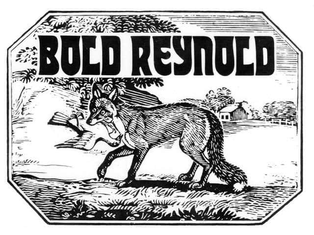 David Carroll (Talking Elephant)
“Bold Reynold”
