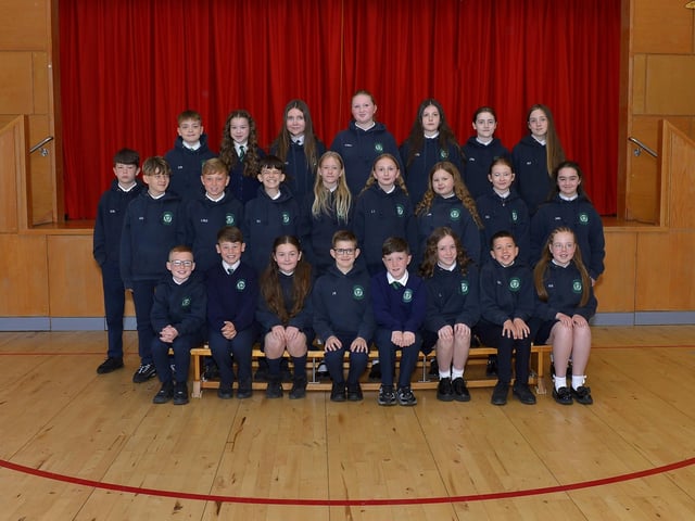 Mrs C. Doherty’s P 7 class at St Patrick’s Primary School.