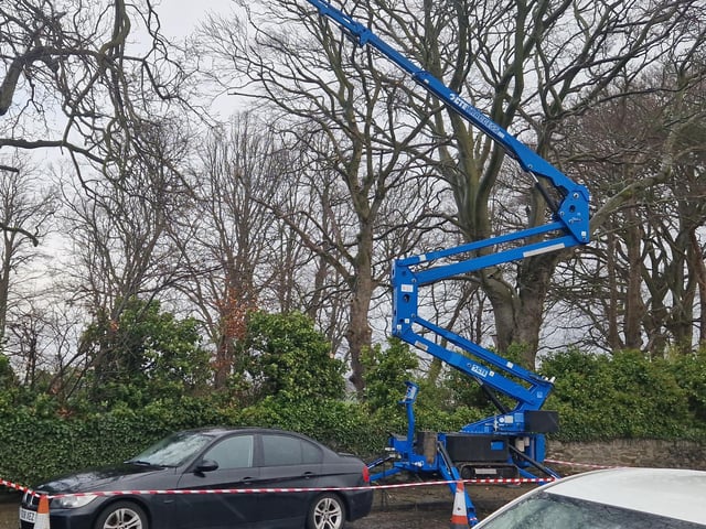 Tree surgery underway on Duncreggan Road