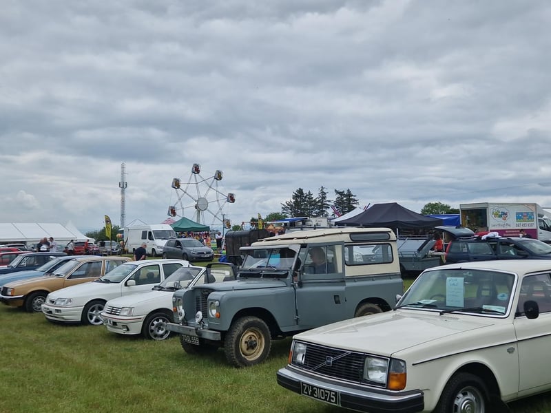 Some of the vintage cars on show in the Carrick Field.