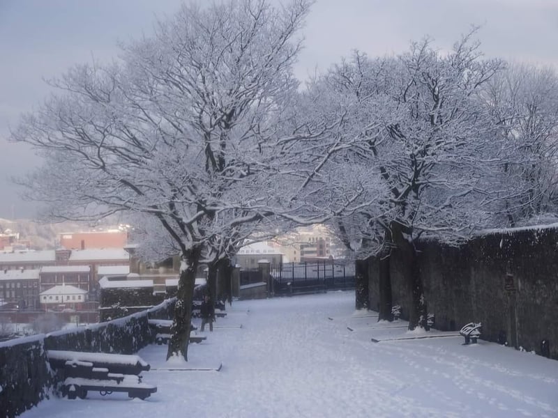 Derry Journal readers' snow pics