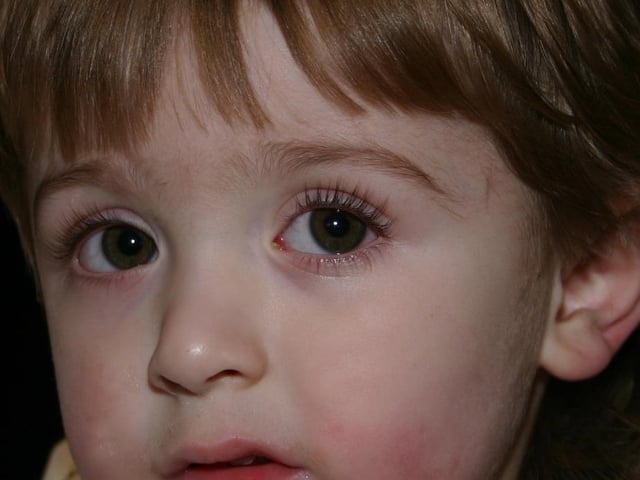 Birthday Oscar Friel on his 2nd Birthday. 2274/dd : Parties and celebrations January 2006: Oscar Friel.