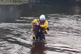 Zeus is rescued by Lough Swilly RNLI volunteer Paddy Murphy.