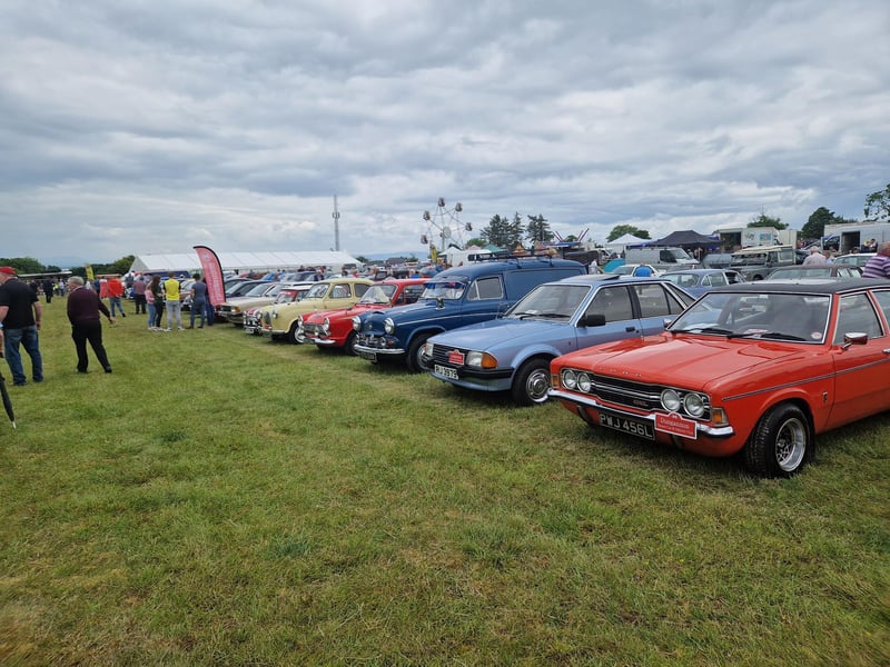 Some of the vintage cars on show.