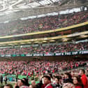 Derry fans in Dublin.