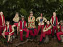 I’m a Celebrity…Get Me Out of Here! 2022 final odds: Who is the favourite & can Matt Hancock win? 