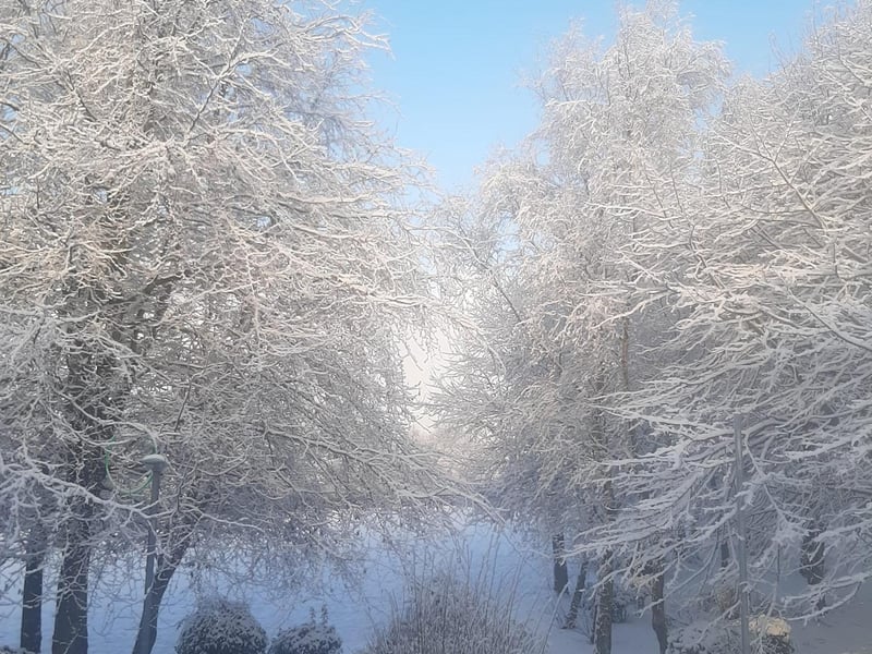 Derry Journal readers' snow pics