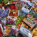 Some of the seeds I have been planting.