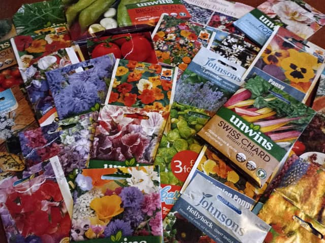 Some of the seeds I have been planting.