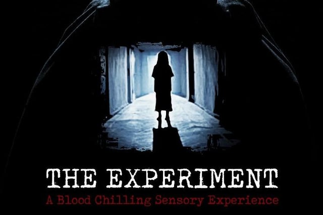 A Blood Chilling Sensory Experience. Are you brave enough to take part in The Experiment? In Echo Echo studios from 6pm - 10pm (15 minute slots). Full price £8 (Concessions available). Not suitable for Under 14's. Contains scenes of a graphic nature and flashing lights.