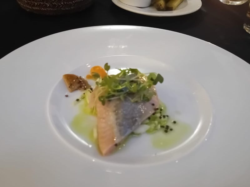 Baltic herring at Kubicki, the oldest restaurant in Gdańsk