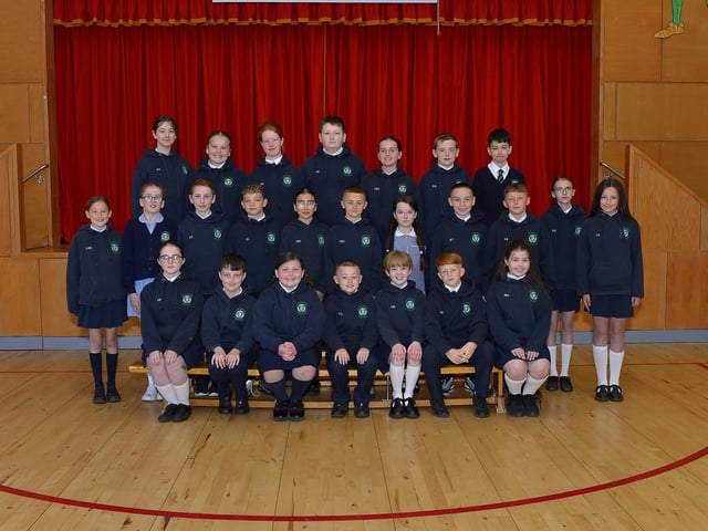 Miss R. Doherty’s P 7 class at St Patrick’s Primary School.