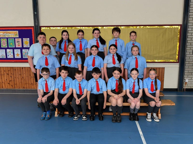 Miss McLaughlin’s P7 class at St Brigid’s Primary School.