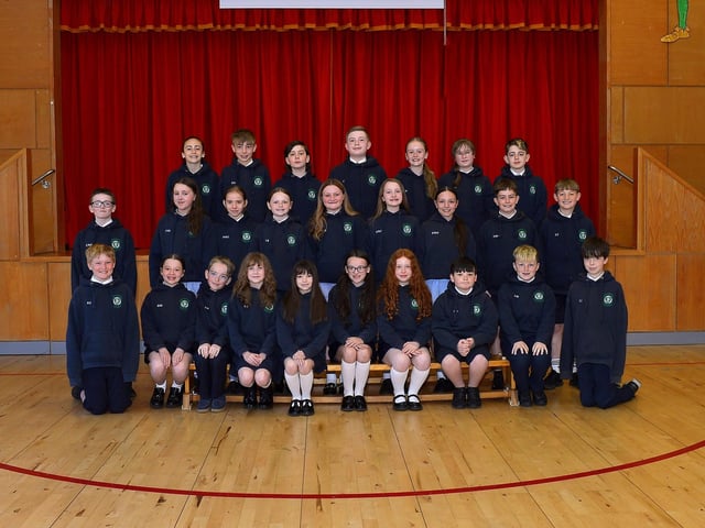 Mrs Mellon’s P 7 class at St Patrick’s Primary School.