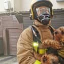 Firefighter Adam McGill with Teddy the terrier.