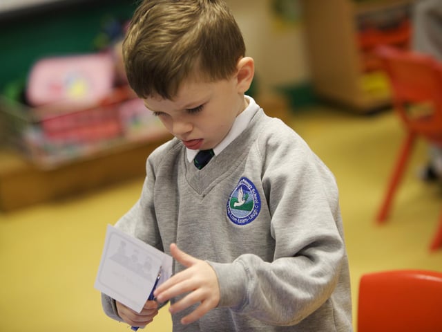 Concentrating hard in P1 at Sacred Heart Primary School.