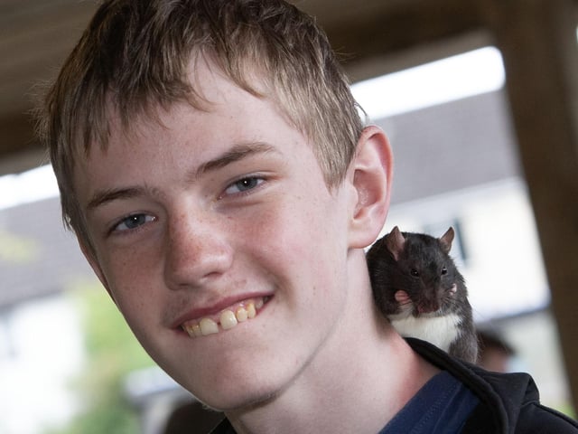 ‘Bugs and Beasties’ saw young people interact with many animals, including snakes, squirrels, lizards, rats, rabbits and hedgehogs.