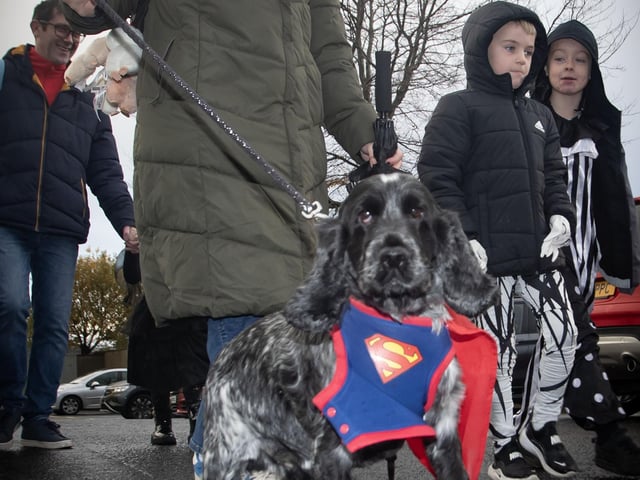 Superdog arrives just in time for the disco at Hollybush PS. : .