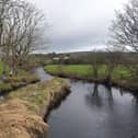 Inishowen River Trust Volunteers tree planting along the Culdaff River.