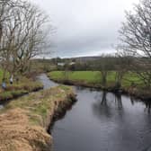 Inishowen River Trust Volunteers tree planting along the Culdaff River.