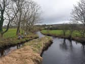 Inishowen River Trust Volunteers tree planting along the Culdaff River.