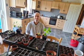 Pictured are some of the seedlings that have come up thus far and cell trays containing newly sown seeds.