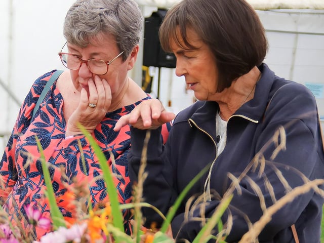 Ladies discussing the floral displays at the show. (Photo - Deirdre Heaney, nwpresspics)