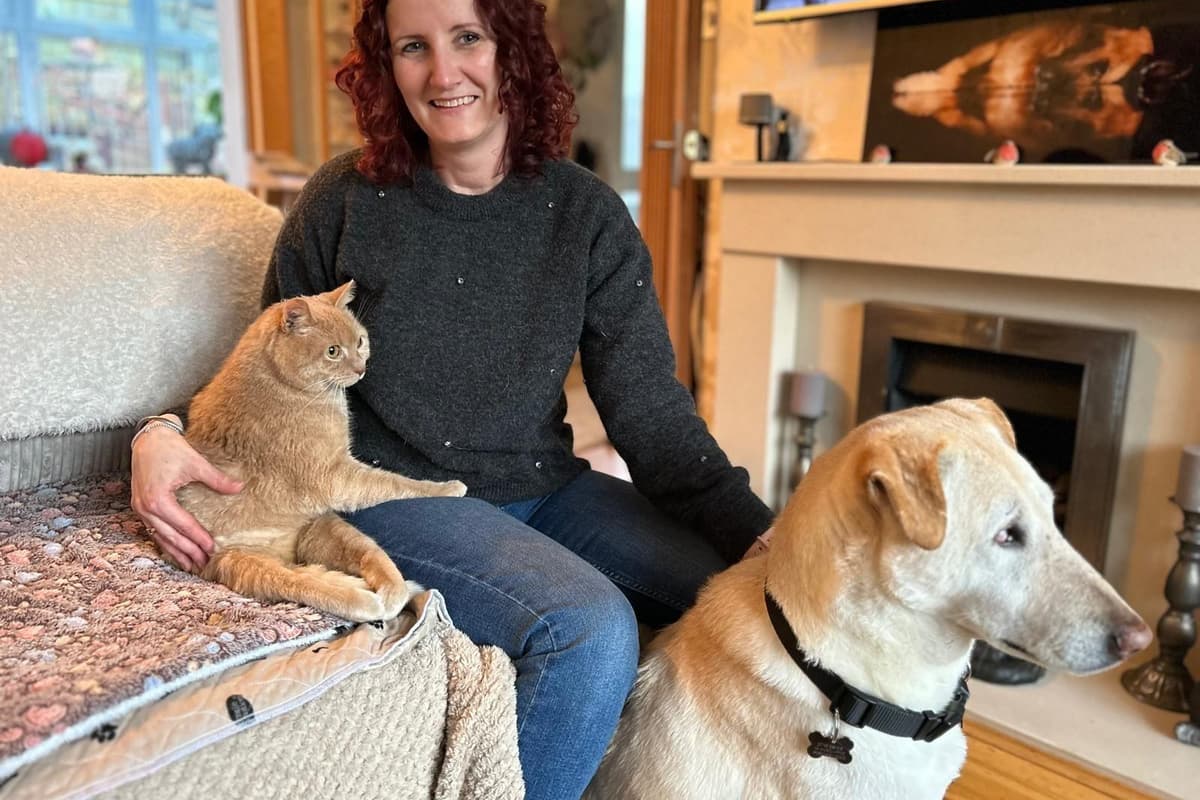 Disaled Animals I adopted disabled pets - here's all Derry animal lovers need to know
