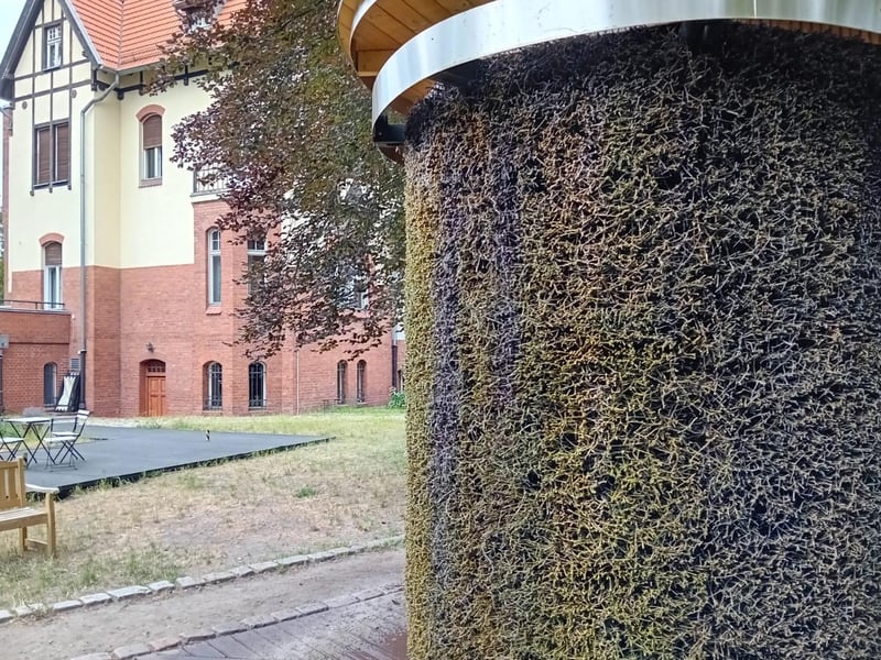 A saline graduation towers in Sopot. People come to inhale the salty spring water as it hits the air via the blackthorn twigs.