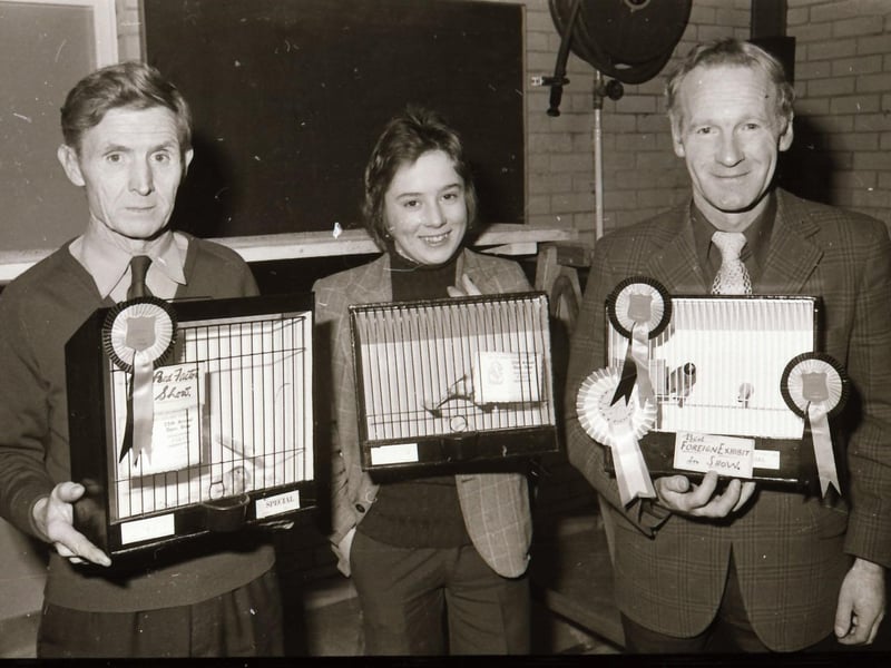 Cage bird show at St Columb's Park Activity Centre.