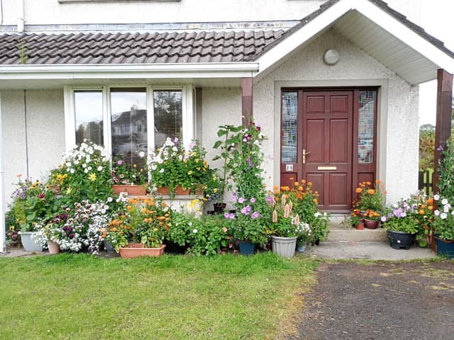 You can achieve a colourful cottage garden effect from pots and containers.