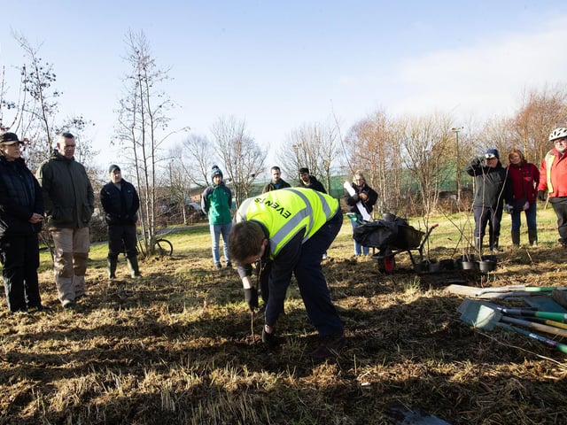 Conor Logue, Environmental Health Officer, DCSDC, planting one of the first of many trees planted at Bay Road on Saturday morning last. (Photos: Jim McCafferty Photography)