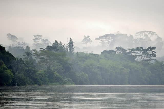 The Sangha River in the Congo basin, from where the cuckoo makes its long migration north to Derry and Donegal.