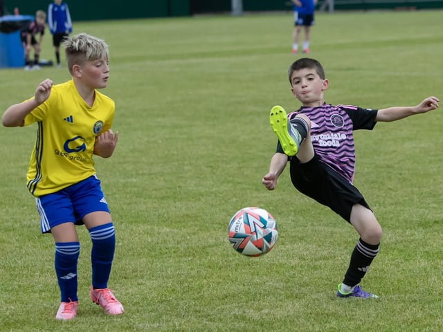 Foyle Cup action from the u-11 Glenavon v. Moyola Park game at City of Derry Rugby Club on Tuesday morning. (Photos: Jim McCafferty Photography)