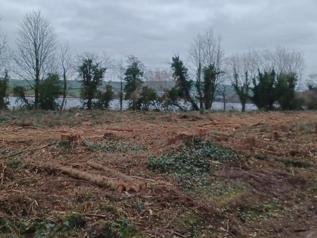 The area is to be replanted with suitable species to enhance the biodiversity and visual aspect of the footpath.