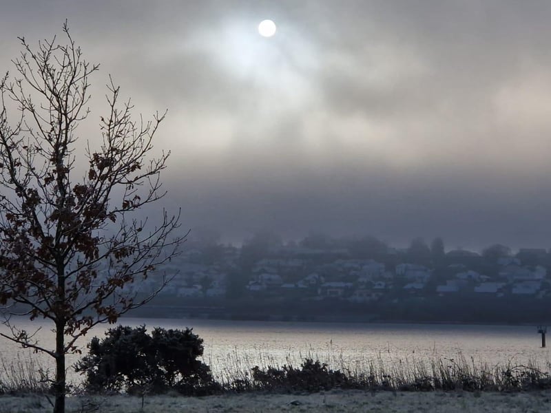 Bay Road Nature Reserve in Derry.
